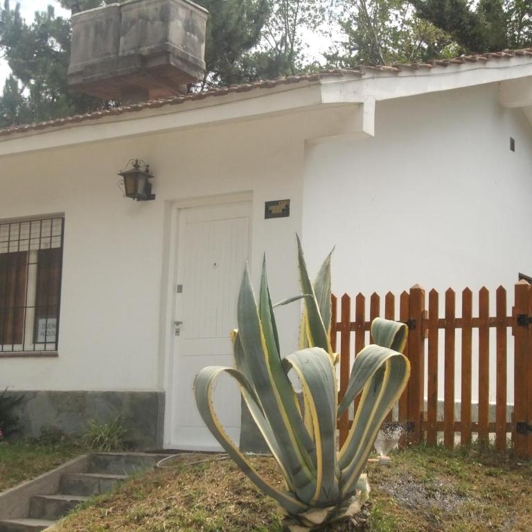 Comodo Chalet en Gesell - Casa - 6
