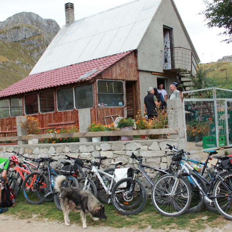 Rural Household MINIĆ - Kapetanovo jezero - Porodična Soba sa Zajedničkim Kupatilom - 6
