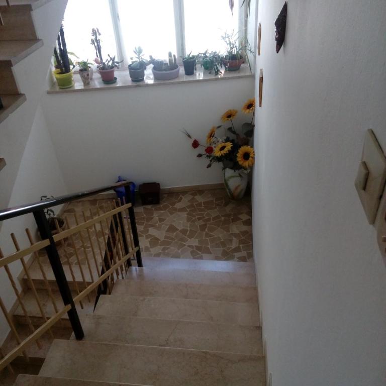 Casa Trettel - Apartment with Mountain View - 18