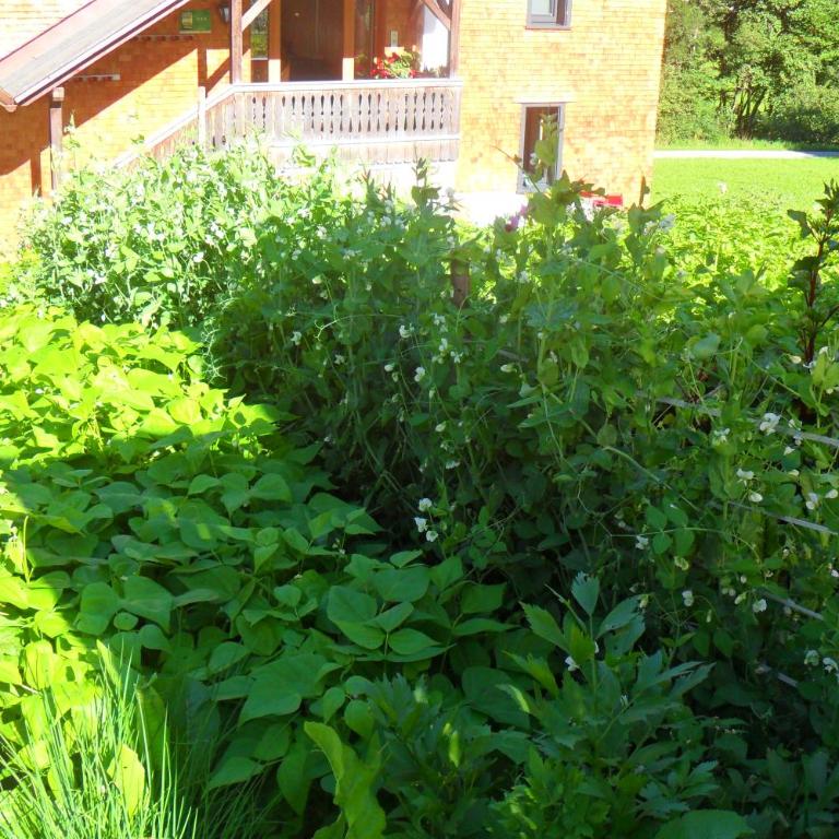 Haus Brügga - Apartamento de 2 dormitorios con balcón - 14