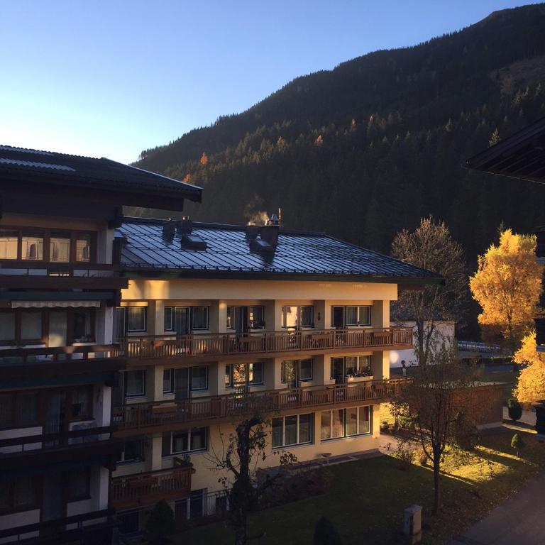Bear Hutte Saalbach near Billa - Apartment mit Balkon - 2