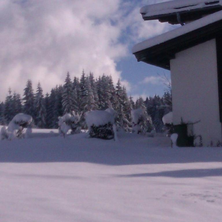 Appartement Seebacher - Apartamento Estudio (2 adultos) - 22