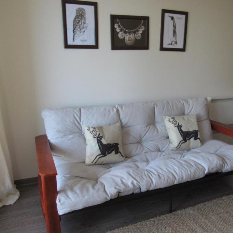Departamento en Pucon - Apartamento - 16
