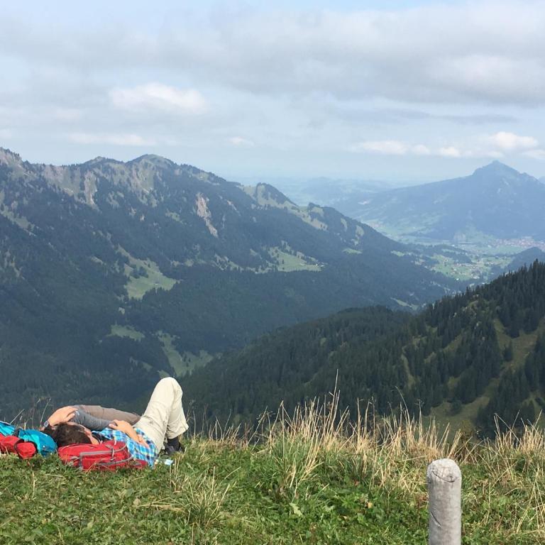 Gemütliche Ferienwohnung Bergwiese, 2-Raum, separates Schlafzimmer, schönen Balkon oder Terrasse, Komfort Ausstattung, ruhige Südlage, kostenfrei WLAN und schöne helle Sauna, Brötchenservice, Parkplatz, Hunde auf Anfrage, E-Tankstelle, Sonnenlage - Appartamento con Vista Montagna - 19
