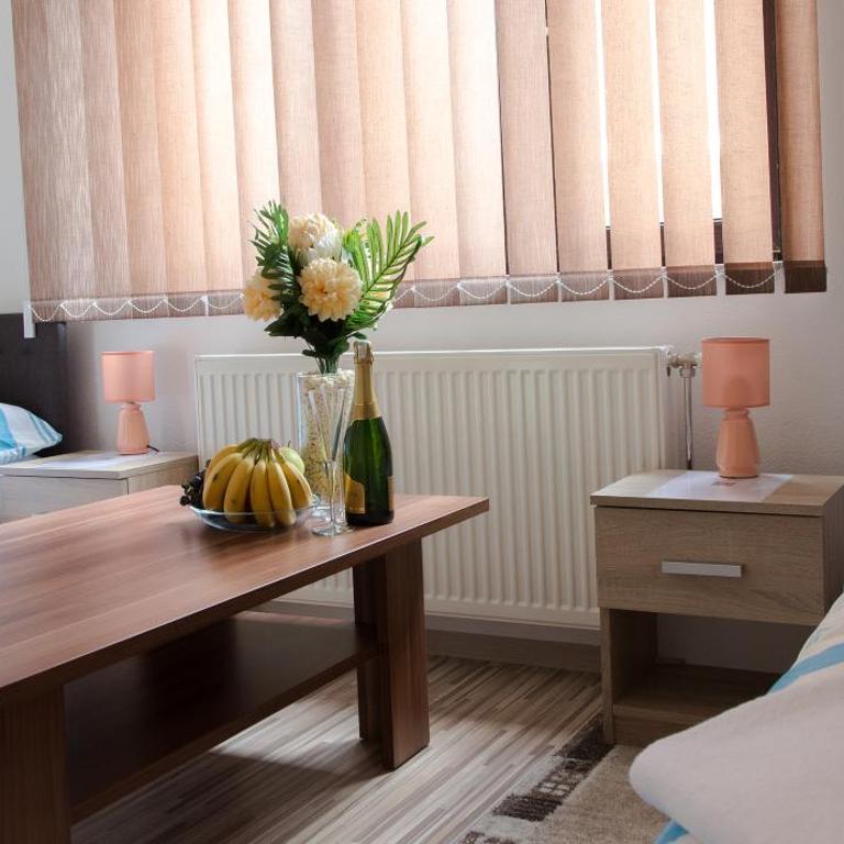 Guesthouse Vila Puzic - Dvokrevetna Soba sa Zasebnim Krevetima - 12