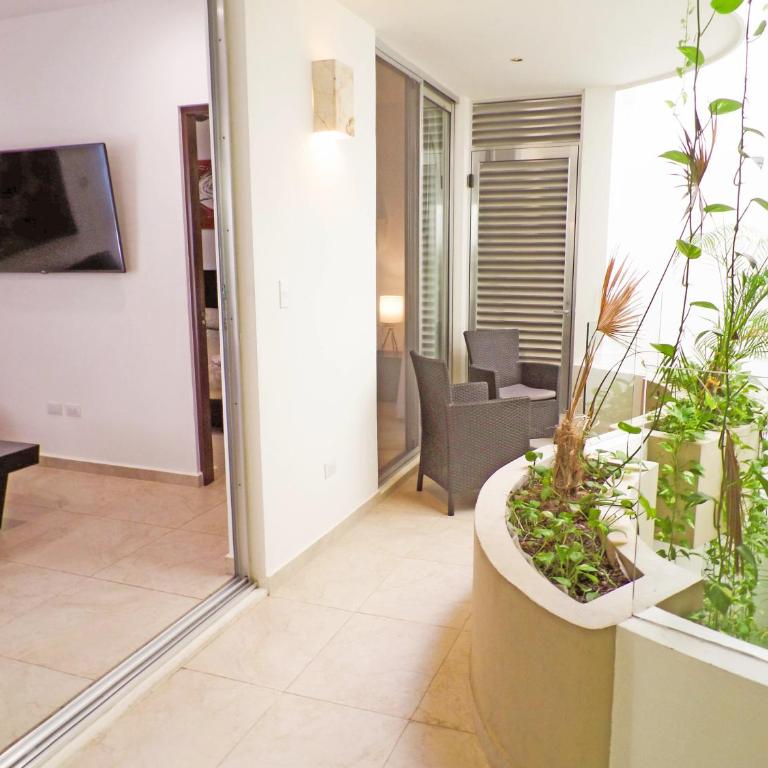 Skyline 204 - One-Bedroom Apartment - 21