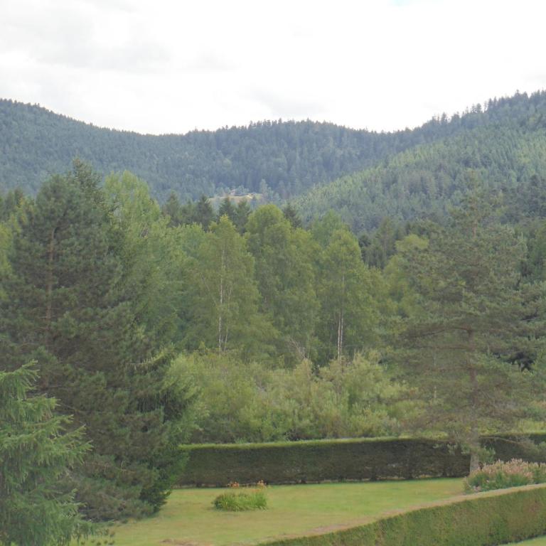 Les airelles - Chalet Supérieur - 21