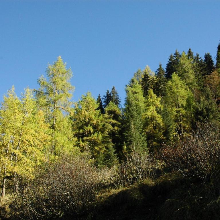 Ferienwohnung Johanna - Apartment mit 2 Schlafzimmern - 13