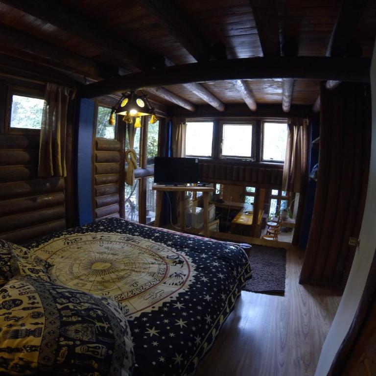 Cabanas Curi-Huapi - Deluxe Room - 14