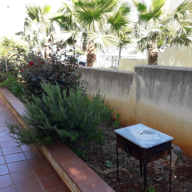 Appartamenti Giuseppina - Appartamento con Vista Giardino - 10