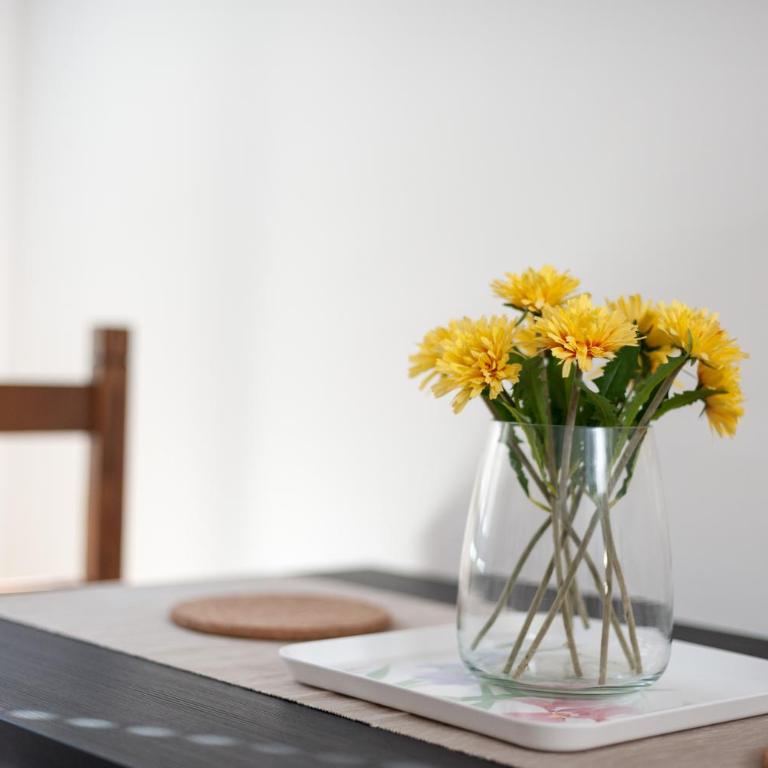 Granduca Apartment in Top Location - Appartamento - 12