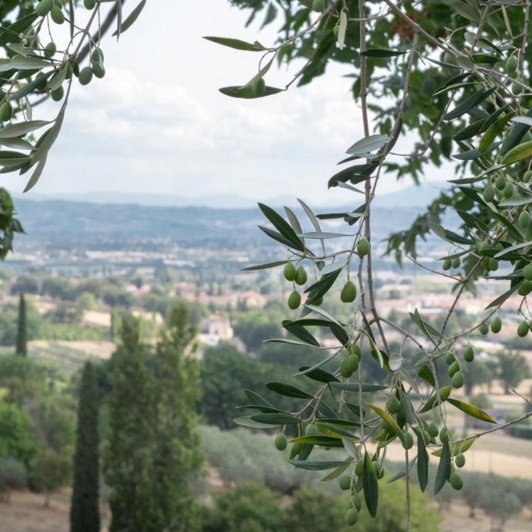B&B Cantico Delle Creature - Camera Singola - 31