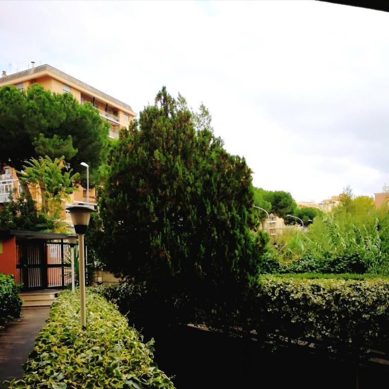 B&B JONIO Roma - Camera Matrimoniale - 1