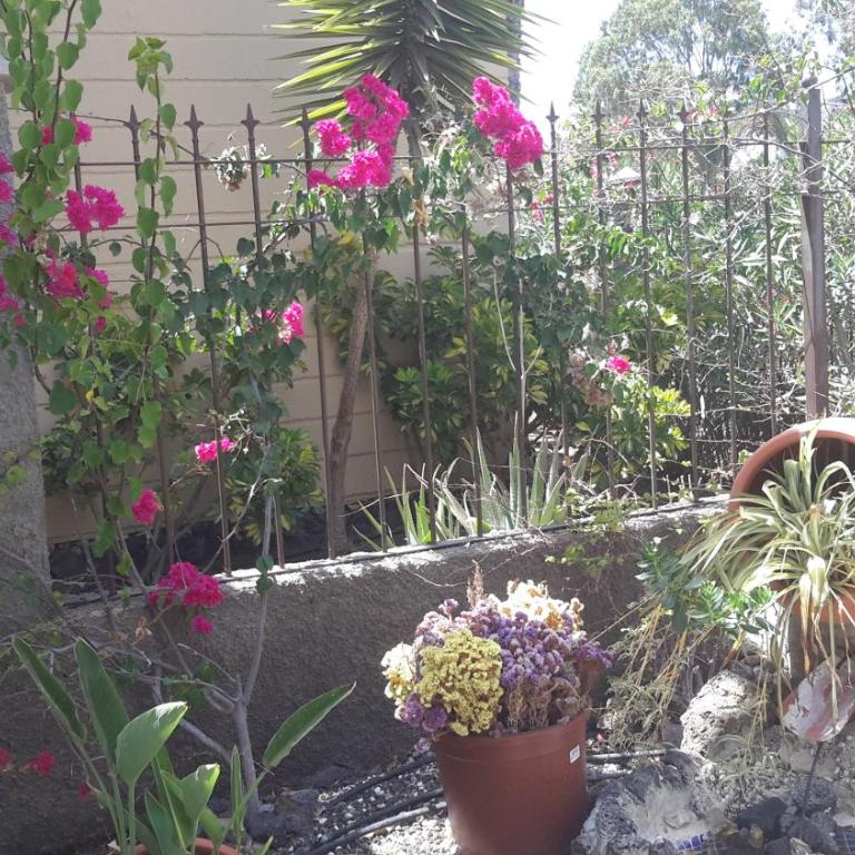 Beautiful Apartment Hercules - Apartamento - Planta baja - 39