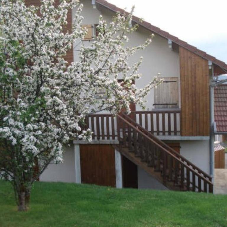 Duplex Bellevue - Appartement - 11