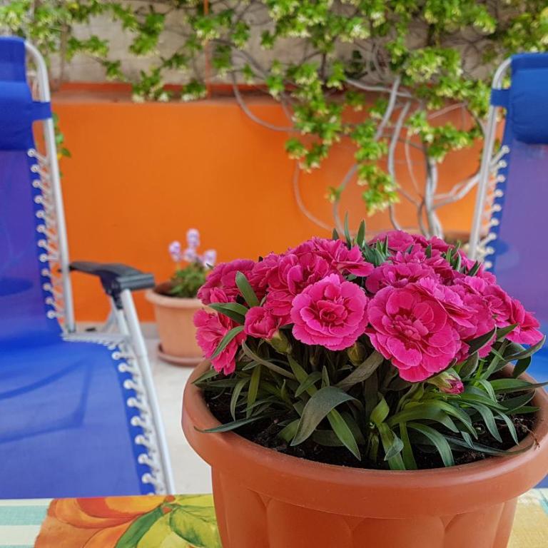 Casa Celeste - Appartamento con Terrazza - 2