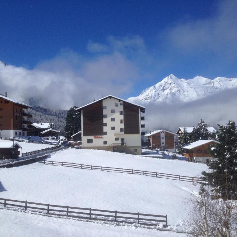 Chalet Petunia - Appartement 2 Chambres avec Terrasse - 67