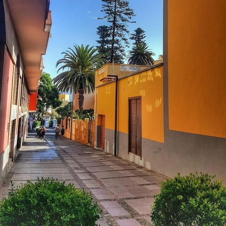 Apartamento Belén - Apartamento de 1 dormitorio - 21