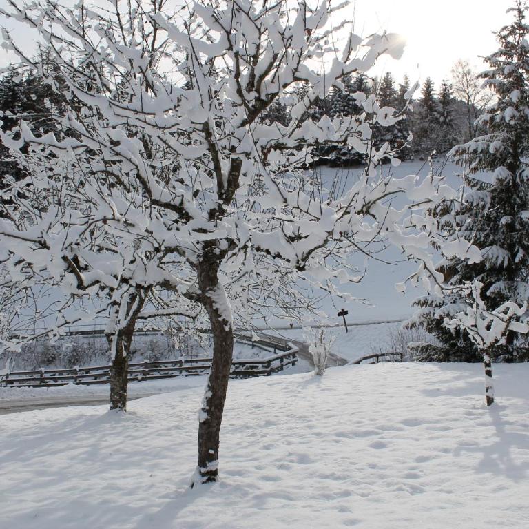 Chalet Alte Mühle - Ferienhaus - 61