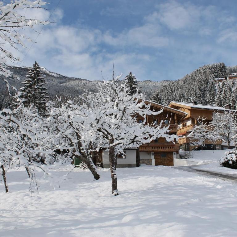 Chalet Alte Mühle - Ferienhaus - 62