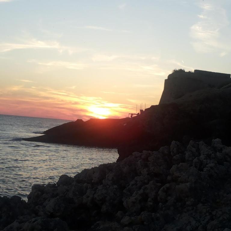 Family House Milic in Ulcinj - Standard Apartment - 5