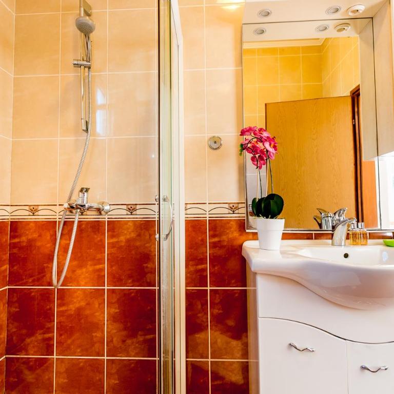 Apartments Batricevic - One-Bedroom Apartment with Sofa Bed (3 Adults) - 15