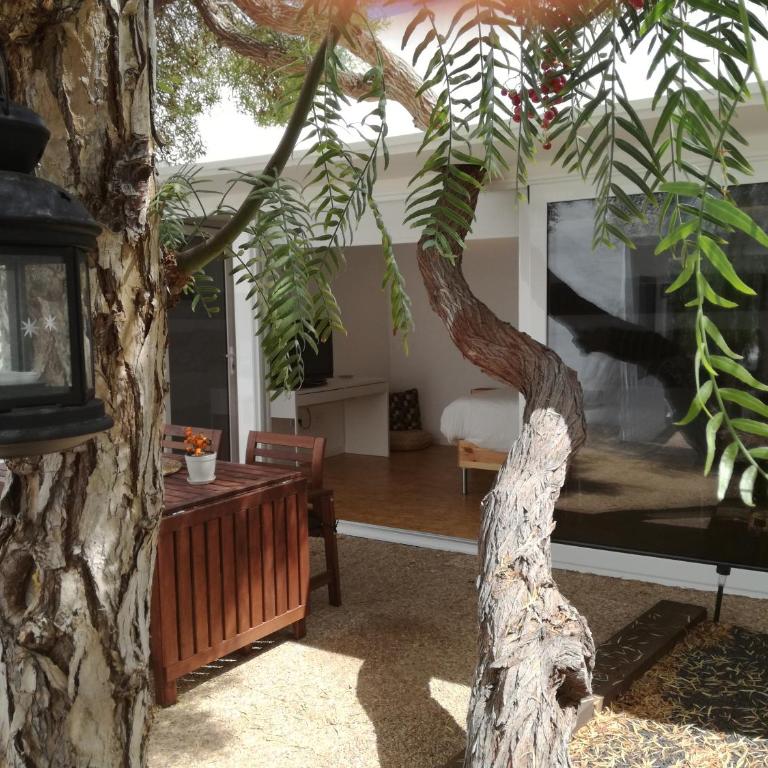 Sorondongo Beach & Garden - Villa with Sea View - 11