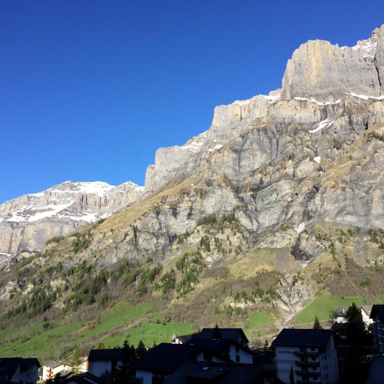 Haus Rothorn, Swiss Alps - Apartment mit Blick auf die Berge - 17