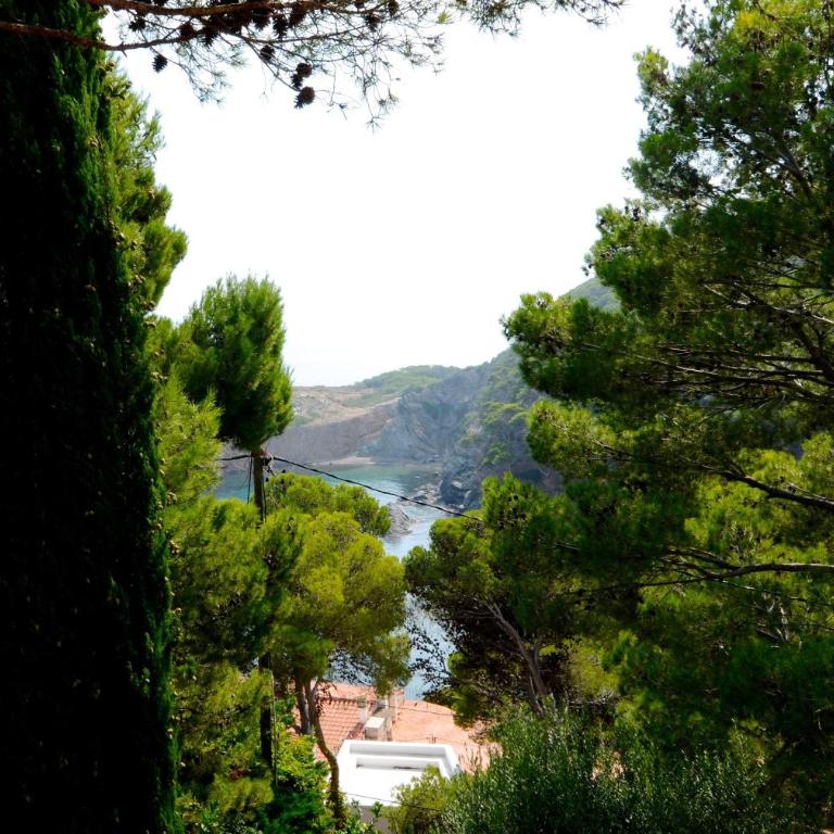 Pic de l'Ocell - Villa con vistas al mar - 41