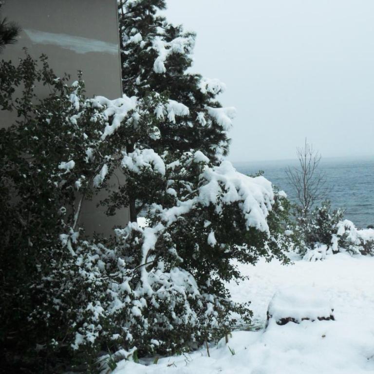 San Benito de Palermo - Apartamento Dúplex - 41