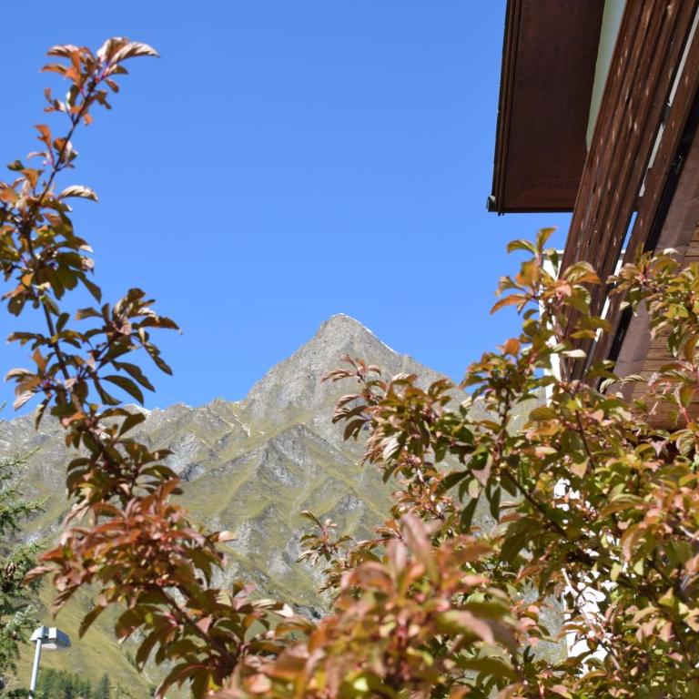 Chasa Miramont - Studio mit Balkon – 11 - 7