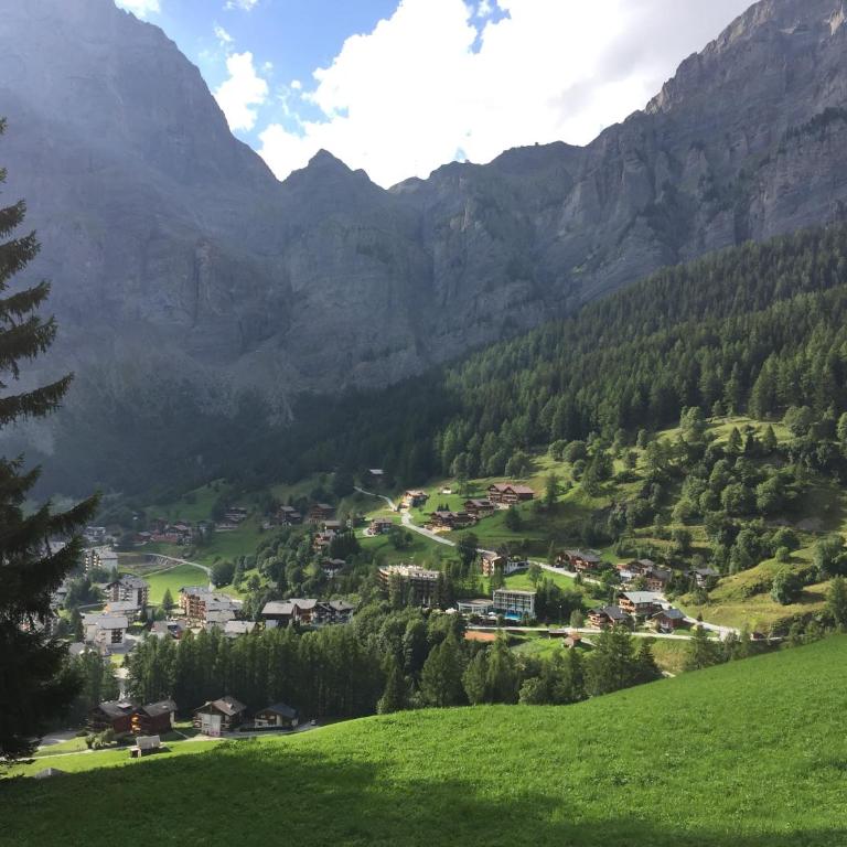 Haus Rothorn, Swiss Alps - Apartment mit Blick auf die Berge - 19