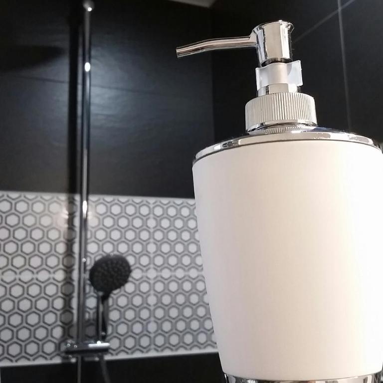 Appartement Contemporain proche Météo, Basso Cambo, EDF, Airbus & Thales - Apartment with Shower - 7