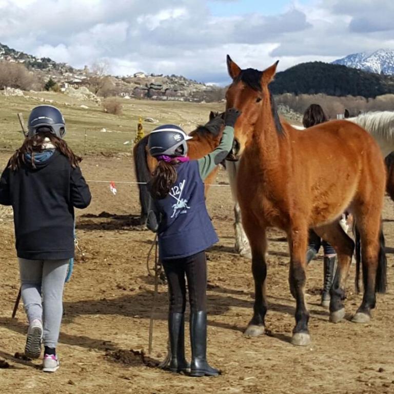 Le Jardin de Font Romeu - Appartement - Rez-de-Chaussée - 23