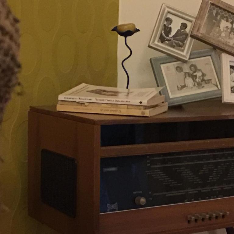 L'albero Di Famiglia - Appartamento - 11
