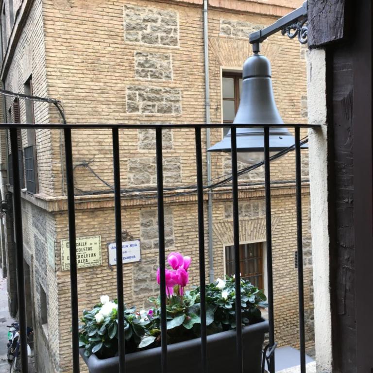 maitagarri casco antiguo - Apartment with Garden View - 22