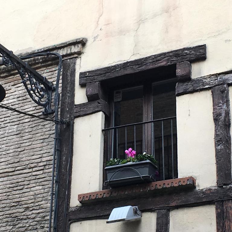 maitagarri casco antiguo - Apartment with Garden View - 30