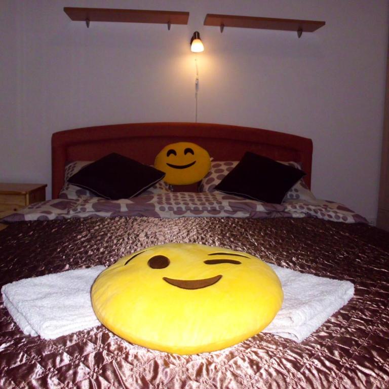 Smiley Apartman - Apartman sa 1 Spavaćom Sobom - 14