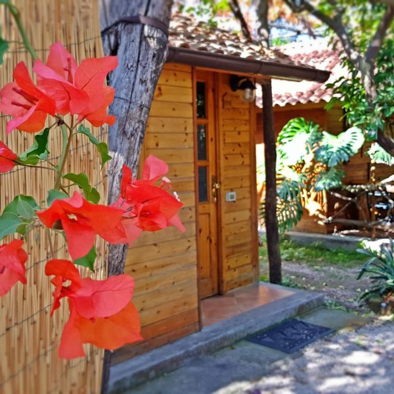 Residence Villaggio Verde - Bungalow Economy - 6