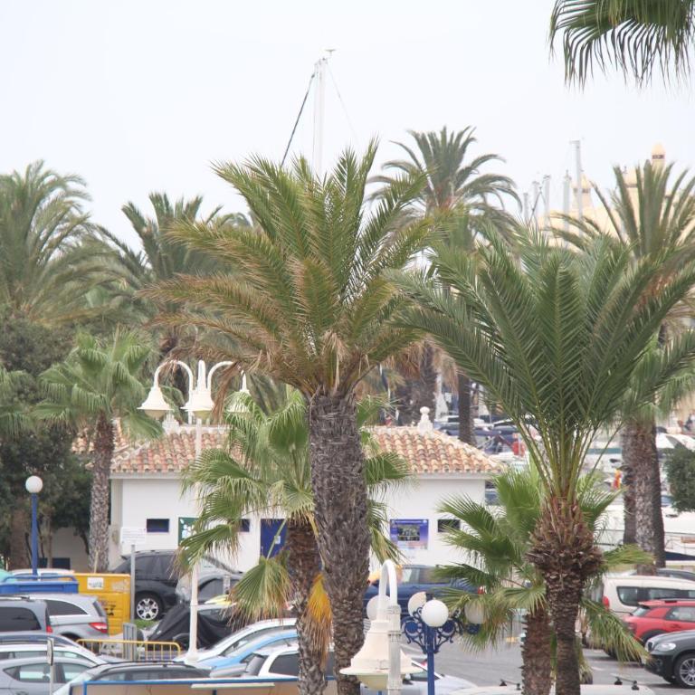Apartamento en Puerto Marina - Apartamento de 2 dormitorios - 24