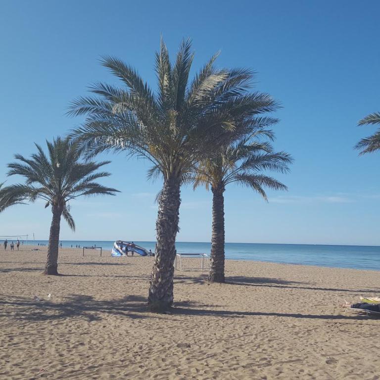 Cascadas de la Marina - Apartamento de 3 dormitorios - 37