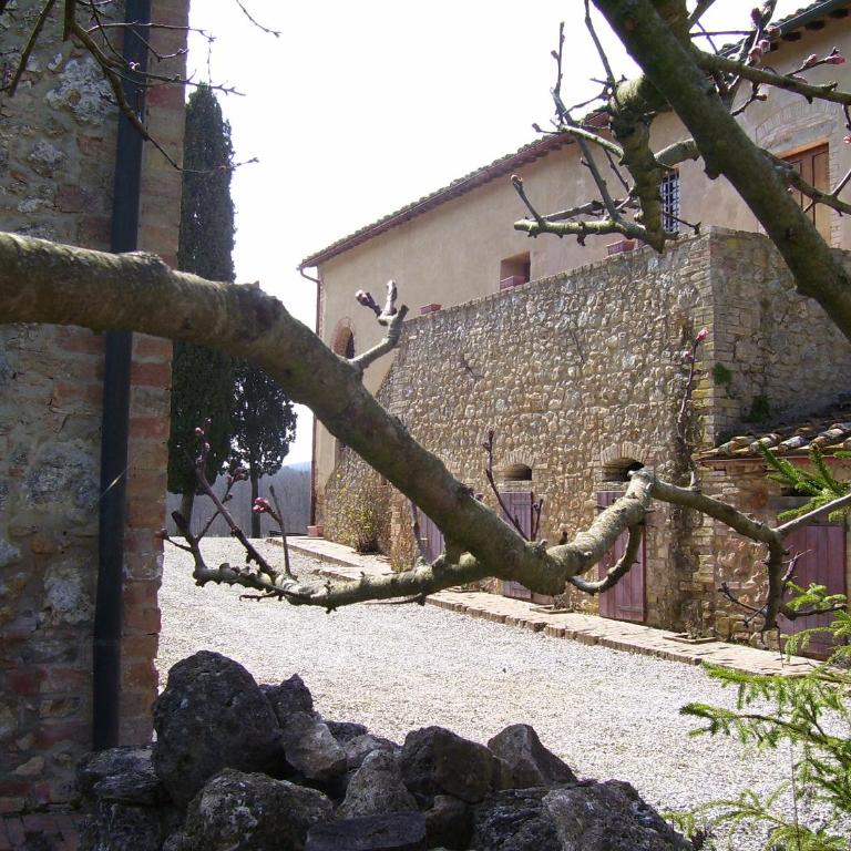 Agriturismo Natura E Salute - Two-Bedroom Apartment - 11