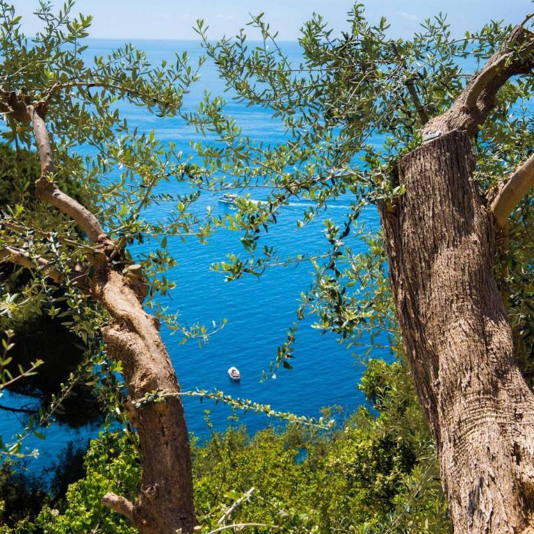 Villa De Rosa - Villa con Vista Mare - 91
