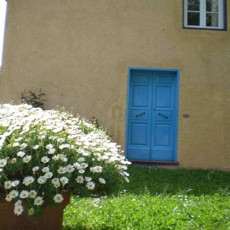 casa al colle - Casa Vacanze - 6
