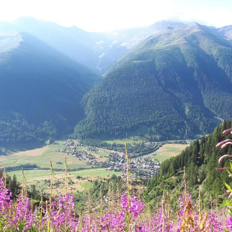Alpensonne - Apartment mit Blick auf die Berge - 50