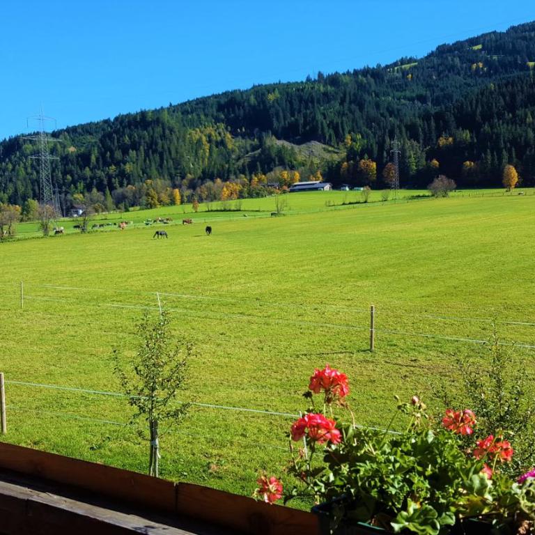 Gut Römerhof - Appartement avec Balcon - 28
