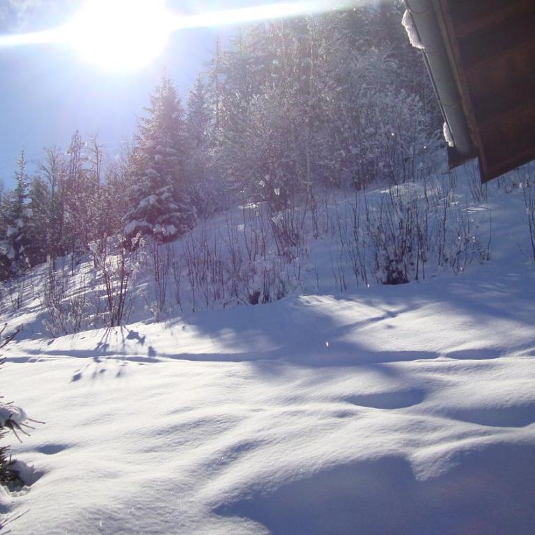 Chalet Miravidi, Montchavin-La Plagne, Jacuzzi & Sauna - Appartement 2 Chambres - Bellecote - 29