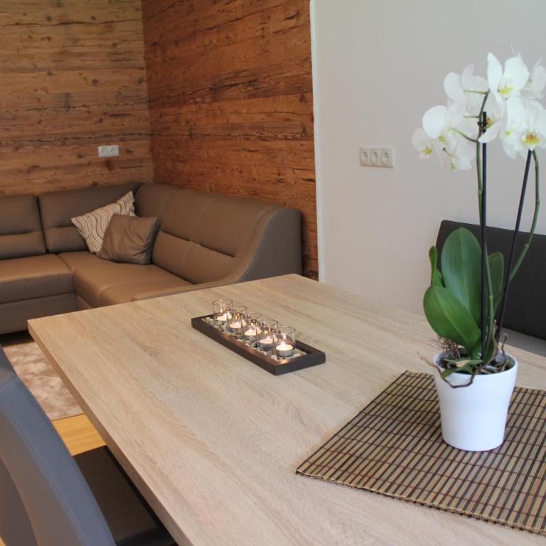 Appart Stefanie - Apartment mit Terrasse - 1