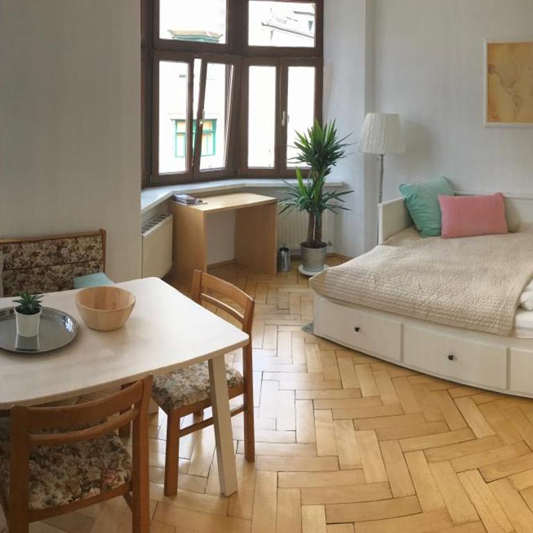 Apartments im Herzen von Innsbruck - Studio-Apartment - 1