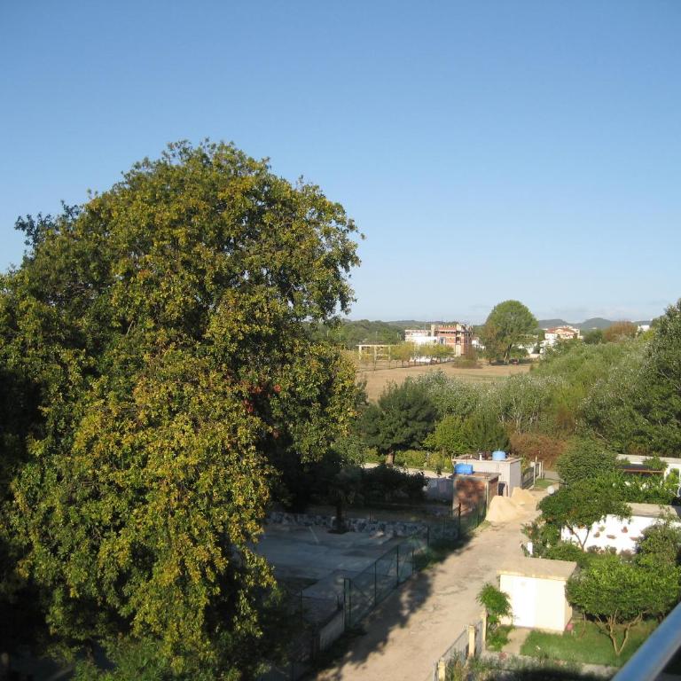 Guest House Vila Mimoza - Apartman sa 1 Spavaćom Sobom - 29